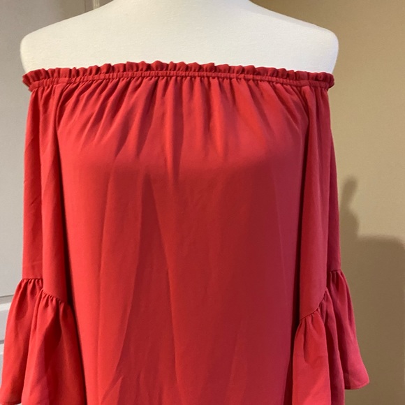 WHBM Ruffled Dress - Picture 9 of 14